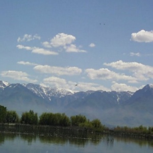 cover image of Wetlands of Utah